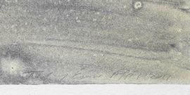 https://cdn.fairart.io/thumbnail_Tracey_Emin_Laying_With_The_Olive_Trees_2_fbe1591e75.jpeg - 1