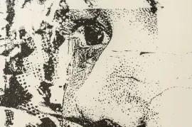 https://cdn.fairart.io/thumbnail_Vhils_Deplete_2_cf0d29aae7.webp - 1