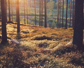 Nude in Forest 03 (Small)
