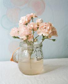 Pink Roses in Muddy Water (Medium)