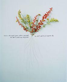 Wallflowers (Small)
