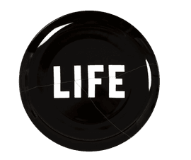 Life Itself