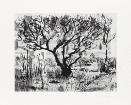 Artwork - Tree (Century Dictionary)