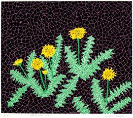 Dandelions