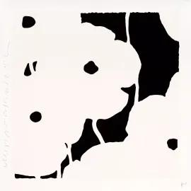 Artwork - White Poppies, Aug. 17, 2022