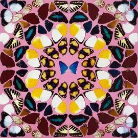 The Kaleidoscopes (H18)