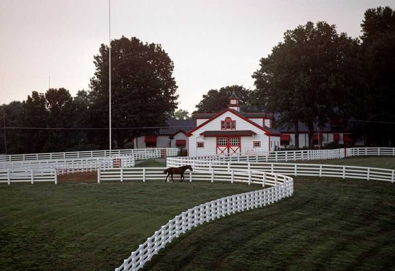 Alain Le Garsmeur, ‘Horse Paddock’, 2022, Print, Archival Pigment Print, null,