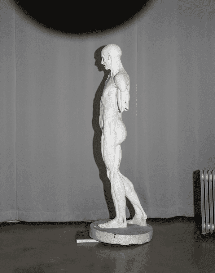 Alec Soth, ‘Anatomy Figure, University of Iowa, Iowa City, Iowa, USA’, 2023, Print, Archival pigment print, null,