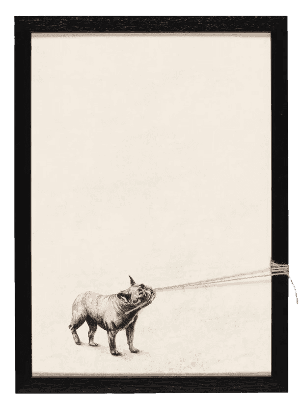 Andrew Scott, ‘Lotty’, 2025, Print, Print on canvas with string, Stowe Gallery, Framed