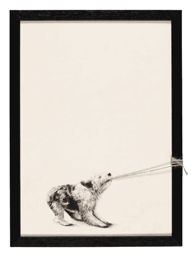 Andrew Scott, ‘Myrtle’, 2025, Print, Print on canvas with string, Stowe Gallery, Framed
