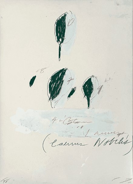 Cy Twombly, ‘Natural History Part II - Some Trees of Italy (Laurus Nobilis)’, 1976, Print, Lithographs, granolithographs and collotypes on Fabriano Bütten wove paper, Bastian Gallery, Numbered