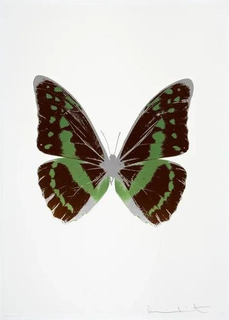 The Souls III - Chocolate - Leaf Green - Silver Gloss