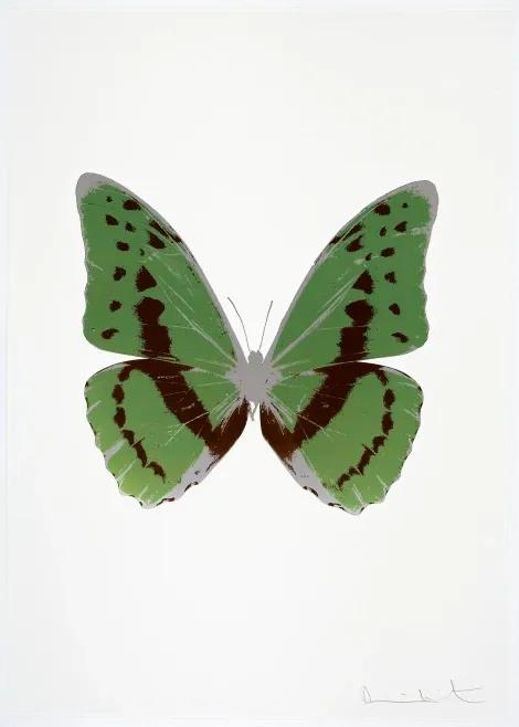 The Souls III - Leaf Green - Chocolate - Silver Gloss
