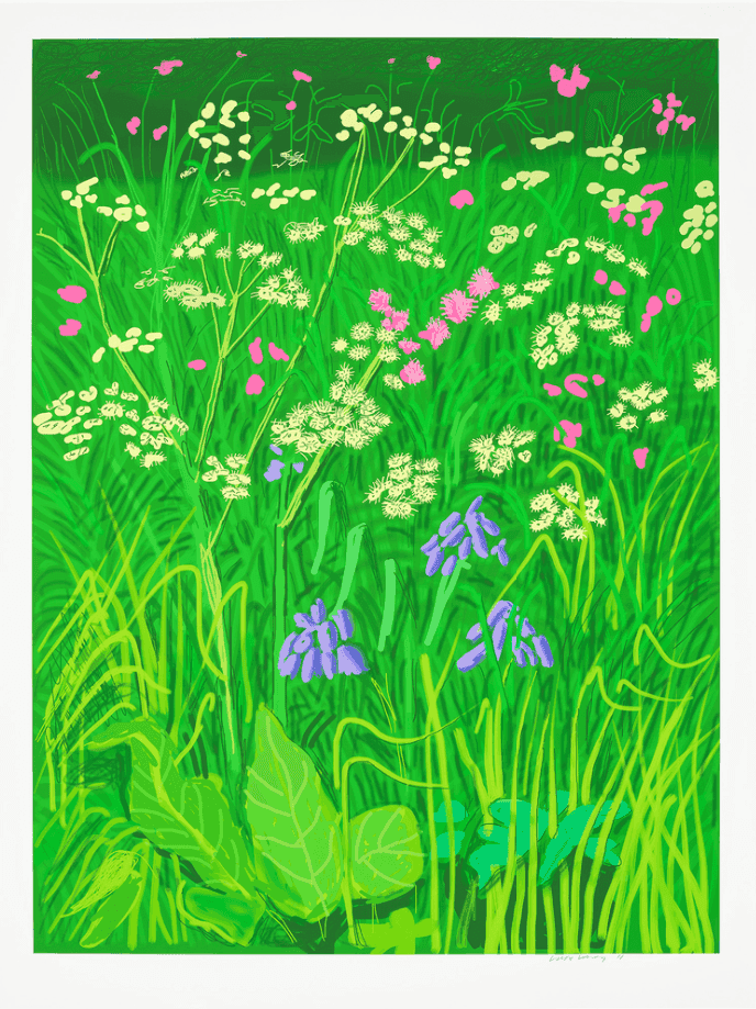 David Hockney, ‘The Arrival of Spring in Woldgate, East Yorkshire in 2011 (Twenty Eleven)’, 2011, Print, IPad drawing in colours, with expert restoration including touching-in, printed on wove paper, with full margins, null,