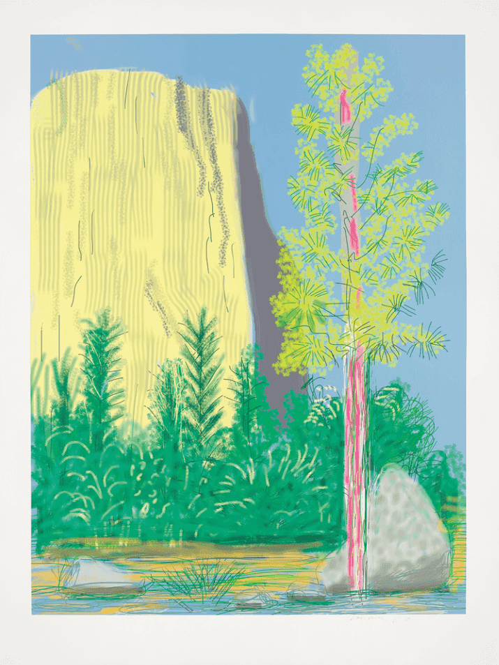 David Hockney, ‘The Yosemite Suite 22’, 2010, Print, iPad drawing in colors, on wove paper, null, Numbered