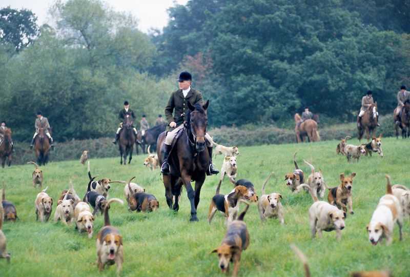 Homer Sykes, ‘Cub Hunt’, 1990, Photography, Archival Pigment print, null,