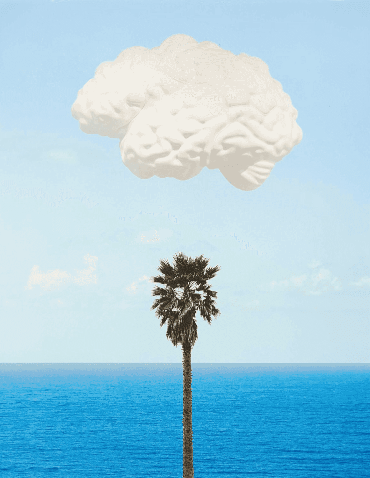 John Baldessari, ‘Brain Cloud (With Seascape and Palm Tree)’, 2009, Print, Inkjet-print on Hahnemühle-card, Counter Editions,