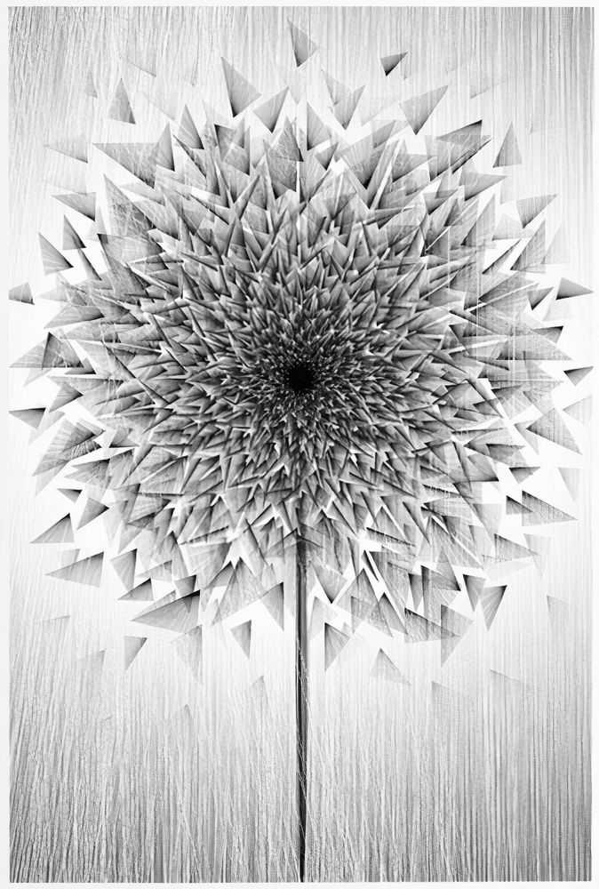 Kai & Sunny, ‘Smashed Dandy (Silver)’, 01-05-2013, Print, Hand pulled 3 colour screenprint with black, silver stardust and copper on 100% cotton somerset satin 300gsm, Self-released, Numbered