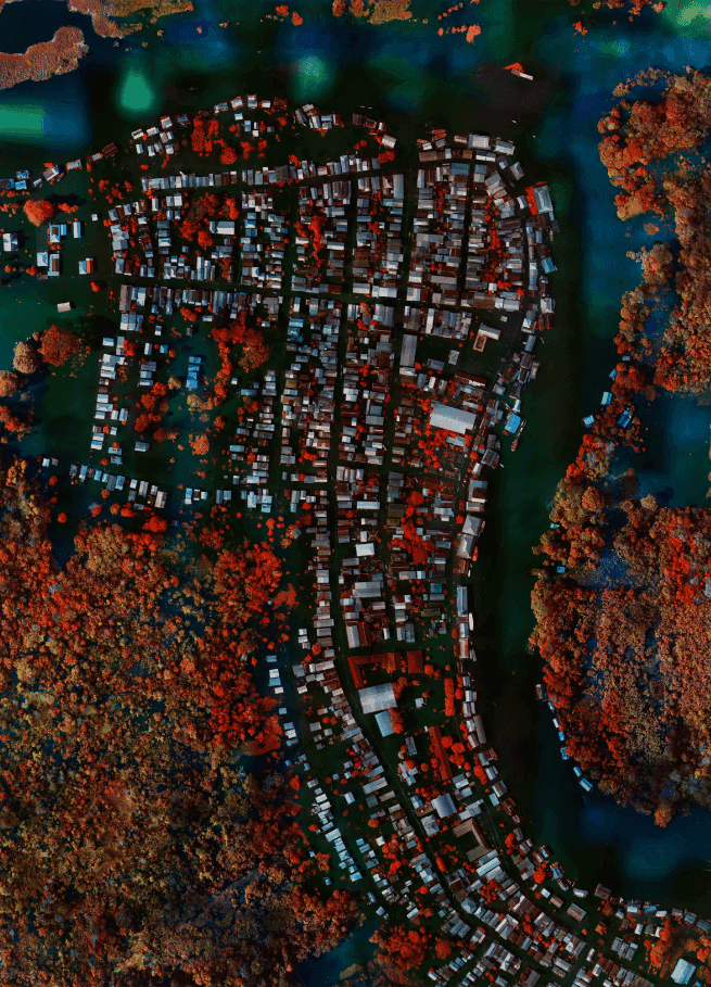 Richard Mosse, ‘Flooded Municipality, Amazonas’, 2021, Photography, Archival pigment print, null, Numbered