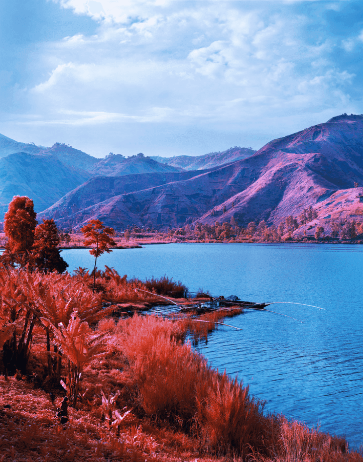 Richard Mosse, ‘Seen and Not Seen’, 2012, Photography, Digital c-print, null,