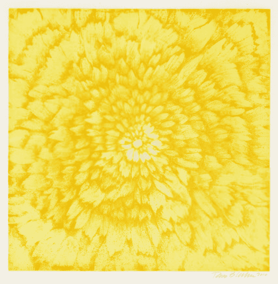 Ross Bleckner, ‘(On) Speech’, 2010, Print, Color aquatint on Somerset soft white paper, Paulson Bott Press, Numbered, Dated