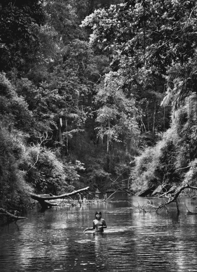 Sebastião Salgado, ‘Suruwahá Indigenous Territory, State of Amazonas, Brazil’, 2017, Print, Platinum-Palladium Print, null, Dated
