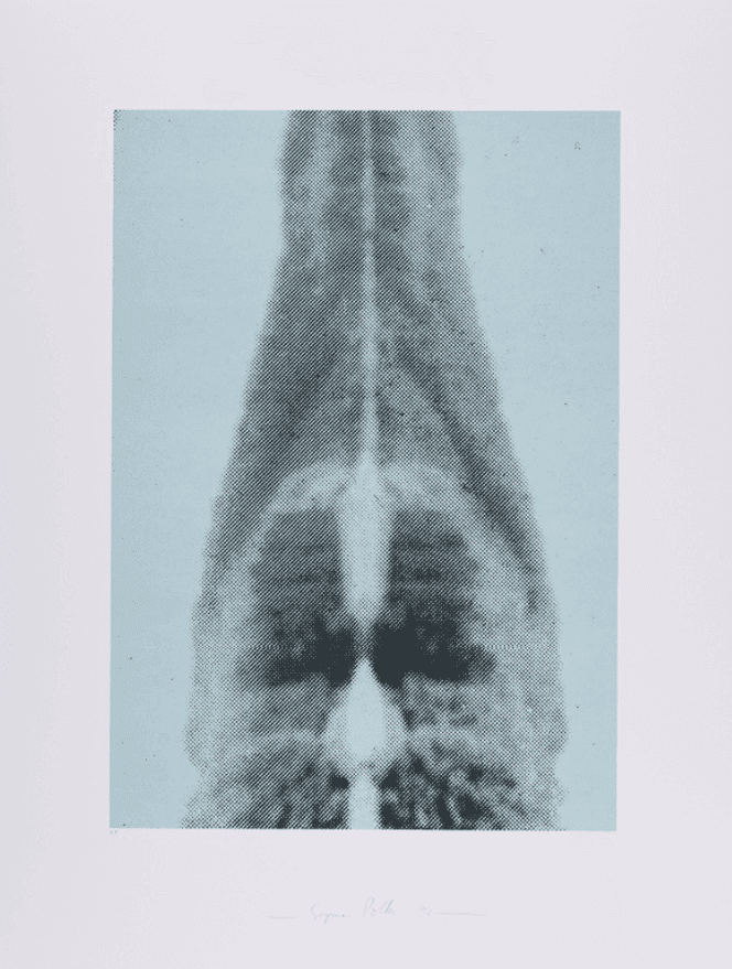 Sigmar Polke, ‘Ohne Titel, from Columbus - In Search of a New Tomorrow (See Limes p.54)’, 1992, Print, Screenprint in colours, Edition Domberger, Numbered, Dated