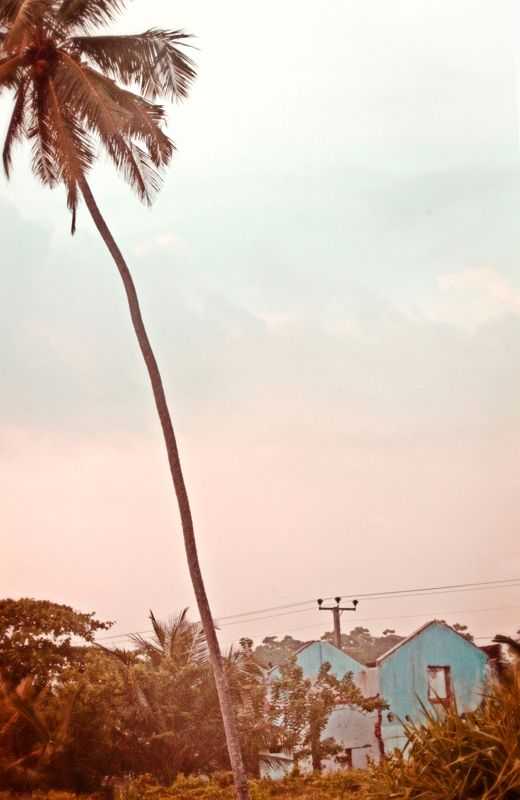 Stuart Möller, ‘Palm Blue House’, 2013, Print, Archival Pigment Print, null, Numbered