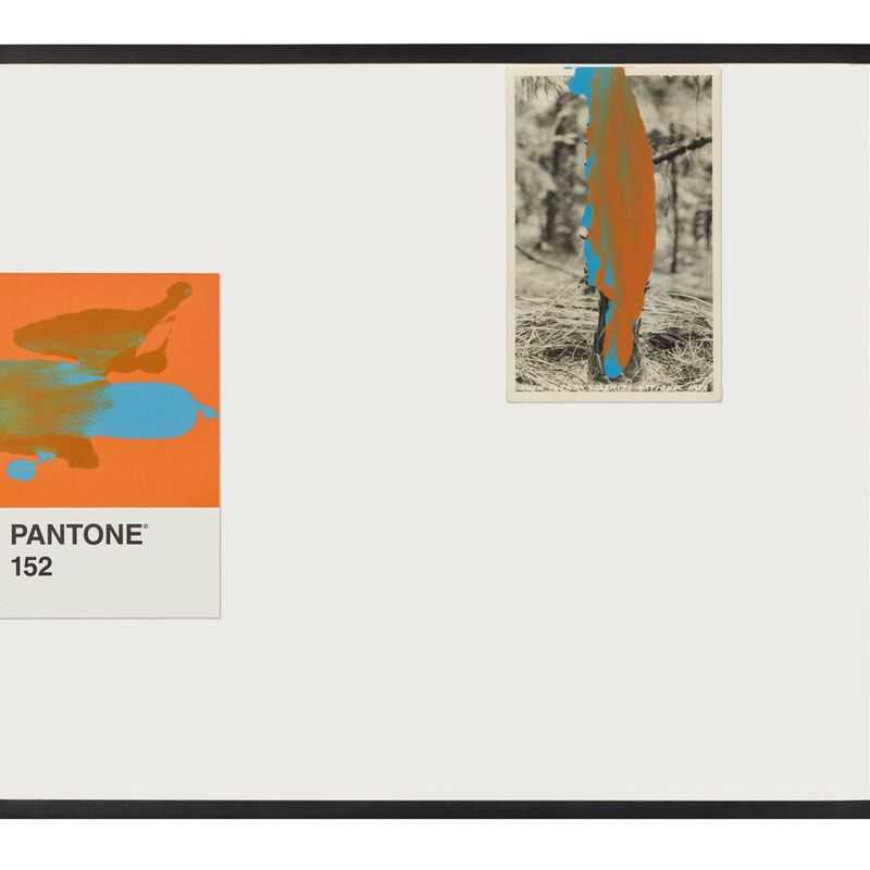 Tacita Dean, ‘Pantone Pair (152)’, 2019, Print, Found Pantone card paired with postcard from the artist's collection, monoprinted and framed to the artist's specifications, Gemini G.E.L.,