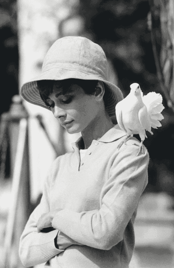 Terry O'Neill, ‘Audrey Hepburn with Dove’, 1966, Photography, Gelatin Silver print, null, Numbered