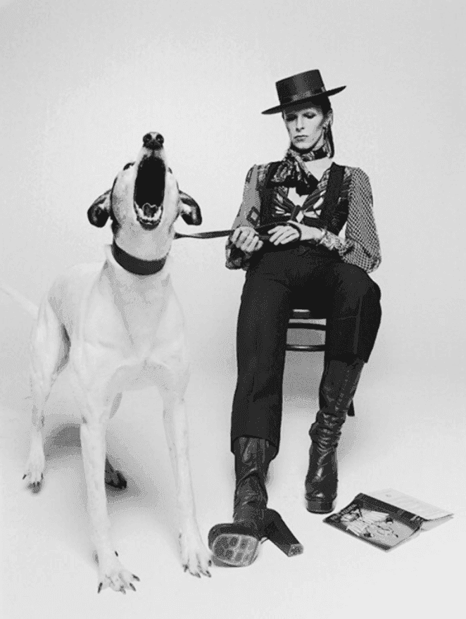 Terry O'Neill, ‘David Bowie 'Diamond Dogs', View II’, 1974, Photography, Silver Gelatin Print, null,