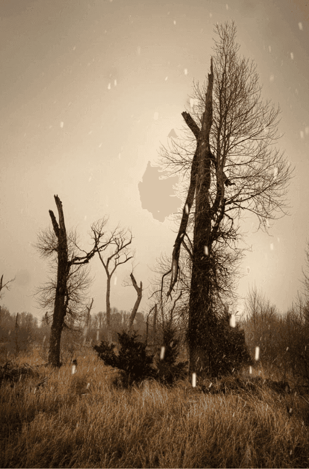 Todd Hido, ‘12166-9601’, 2023, Photography, Archival Pigment Print., null, Dated