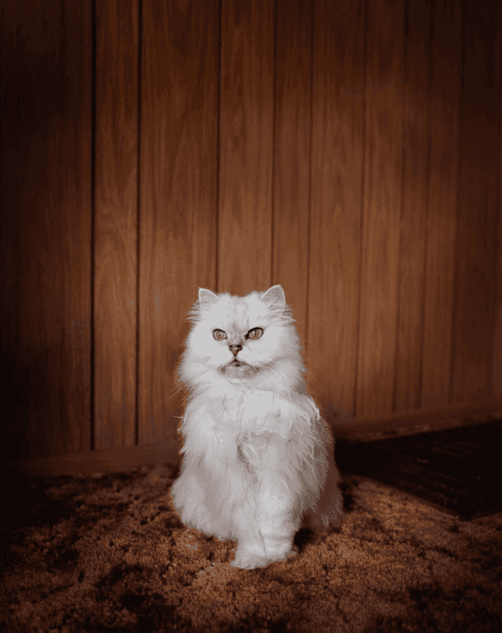 Todd Hido, ‘1843’, 1996, Photography, Archival Pigment Print., null, Numbered, Dated