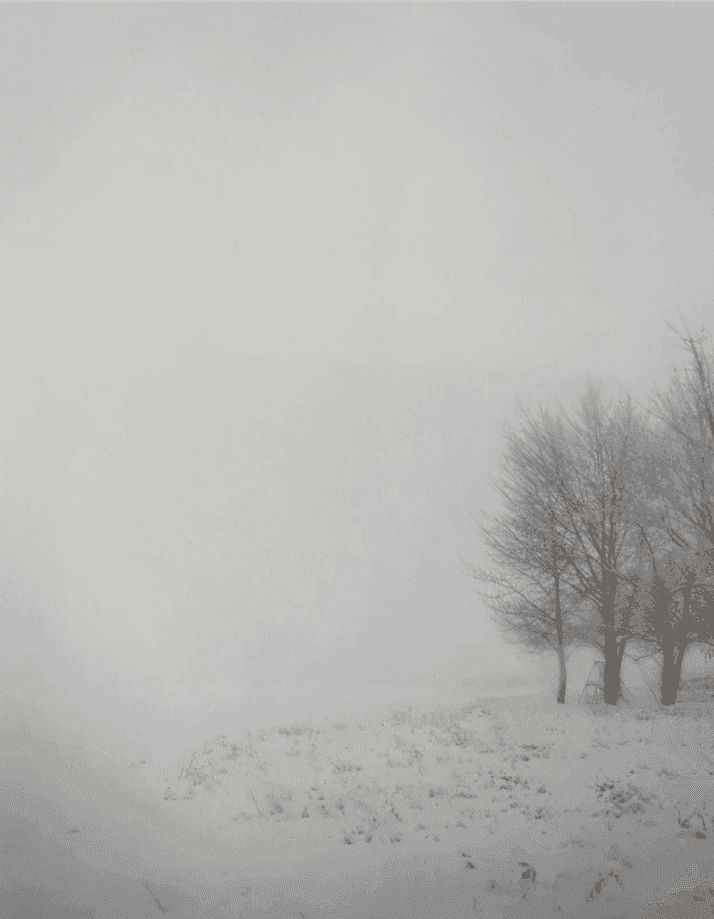 Todd Hido, ‘7412’, 2008, Photography, Archival Pigment Print., null, Numbered, Dated