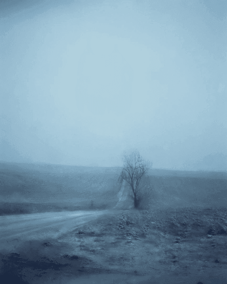 Todd Hido, ‘Untitled #5157’, 2006, Photography, Archival Pigment Print, null,