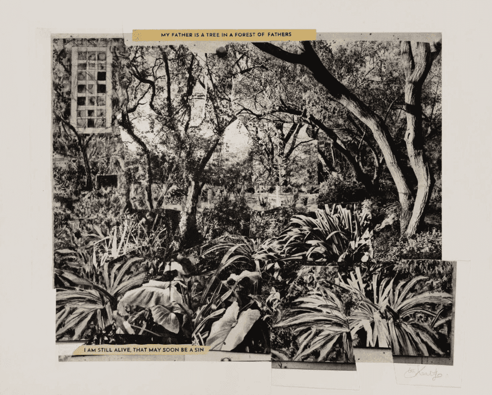 William Kentridge, ‘My Father Is a Tree in a Forest of Fathers I’, 2024, Print, Photogravure with drypoint and photopolymer with chine colle and collage, null, Numbered