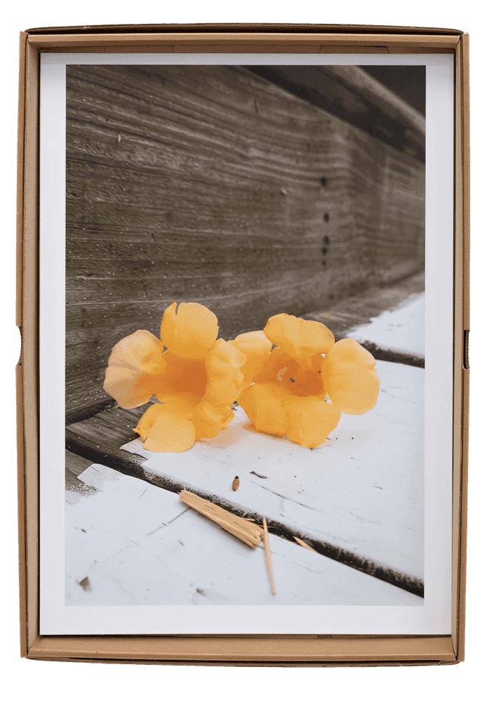 Wolfgang Tillmans, ‘Edition für Bonner Kunstverein’, 2025, Print, A4 color laser print mounted on cardboard with hanger, null, Numbered