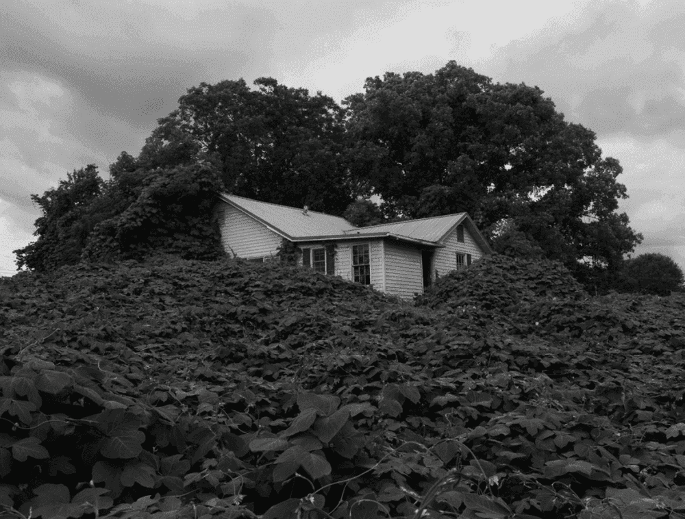 Alec Soth, ‘Near Gainesville, Georgia’, 2014, Print, Archival pigment print mounted to Dibond, null,
