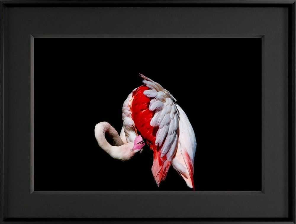 Alfie Bowen, ‘Fiesta’, 2021, Print, Fine Art Print, Castle Fine Art, Numbered, Framed