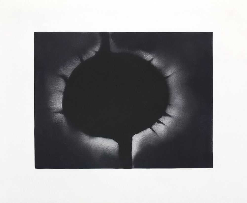 Anish Kapoor, ‘Omo’, 2019, Print, Polymer gravure type etching, null, Numbered