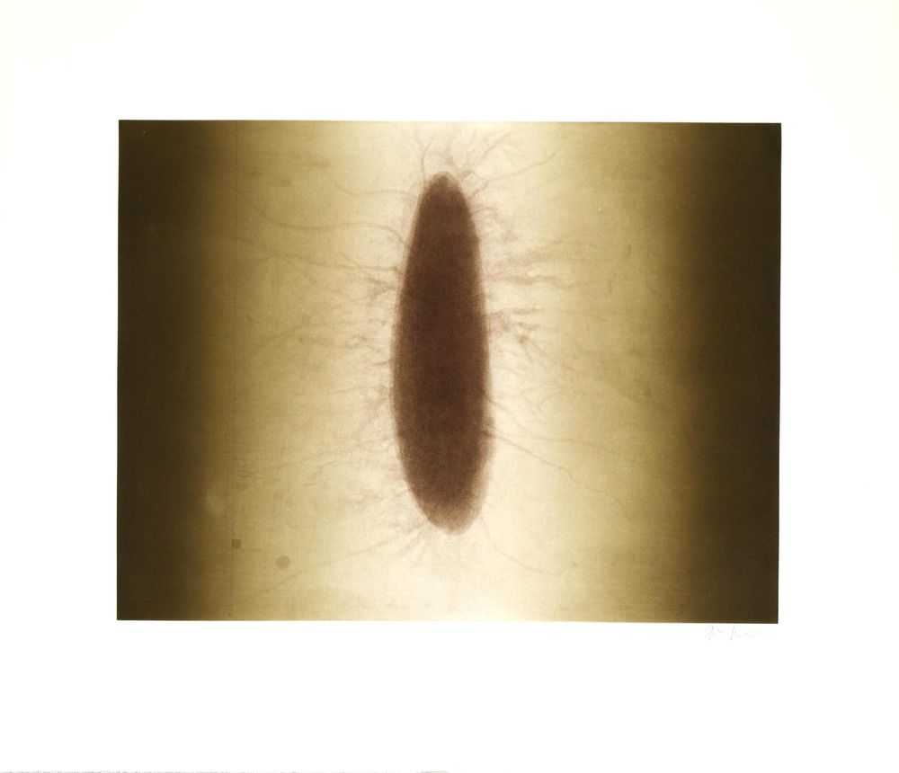 Anish Kapoor, ‘Untitled 2 (12 Etchings)’, 2007, Print, Etching, Paragon Press, Numbered