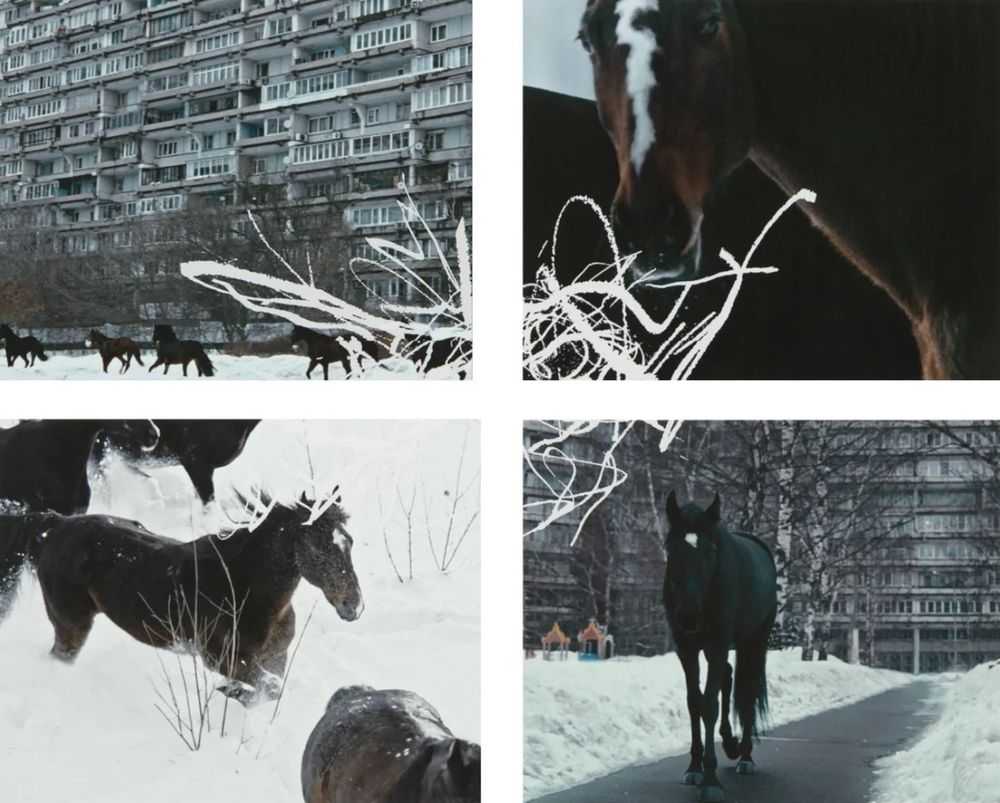 Anne Imhof, ‘YOUTH (Set of 4 Prints)’, 2023, Print, 4 Giclèe prints on Hahnemühle Paper with screenprinted elements, null, Numbered