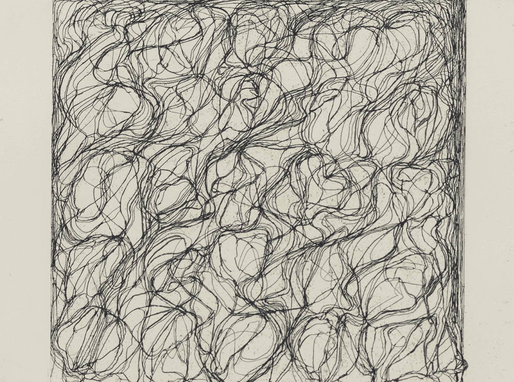 Brice Marden, ‘Nevis Letter’, 2009, Print, Etching, null, Numbered