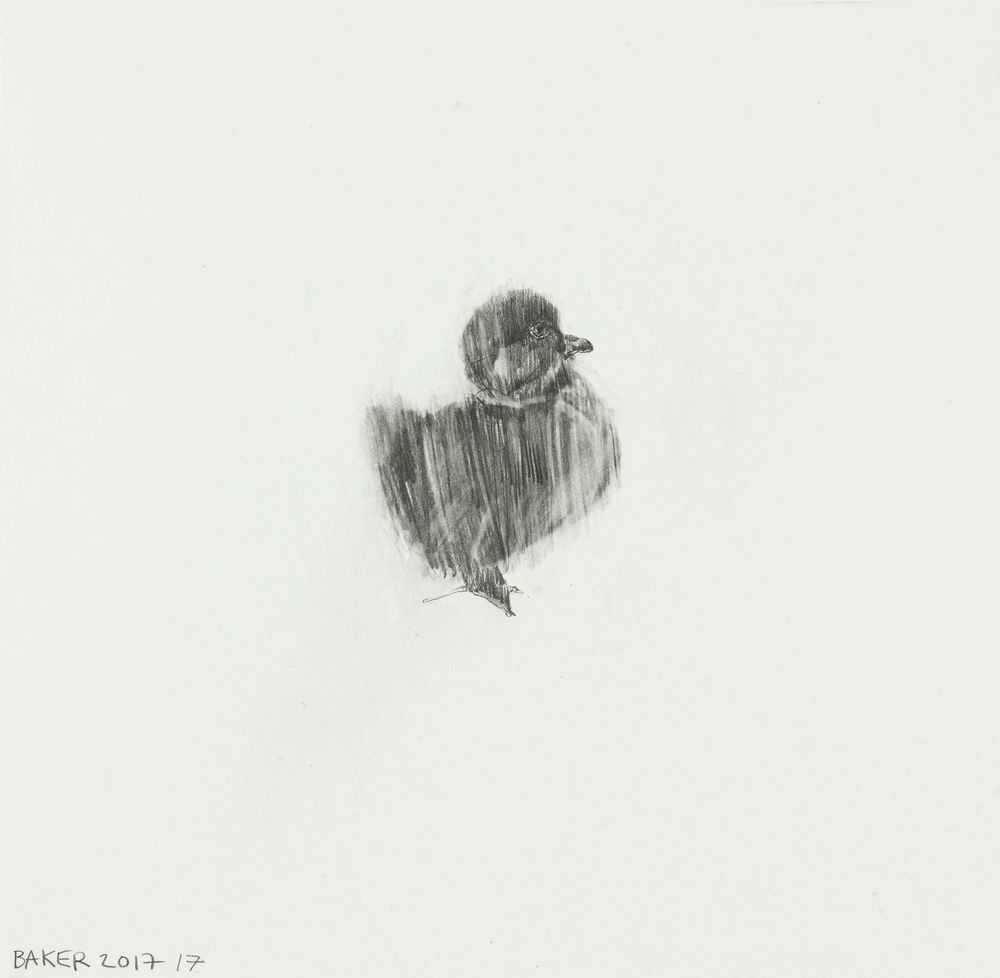 Charming Baker, ‘Duckling #17 Buddy’, 2017, Print, Unique, graphite on wove paper, null, Dated