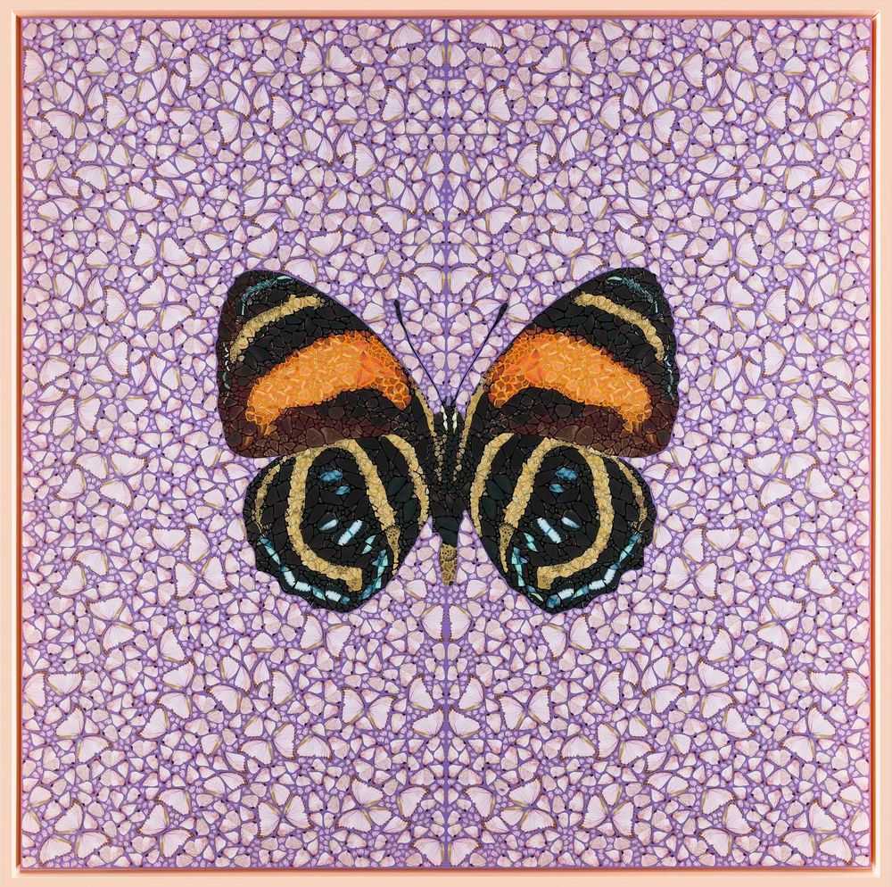 Damien Hirst, ‘DP80 Callicore A. - Depictions ’, 2026, Print, Paint, oil ink, paper on canvas, Heni Editions, Framed