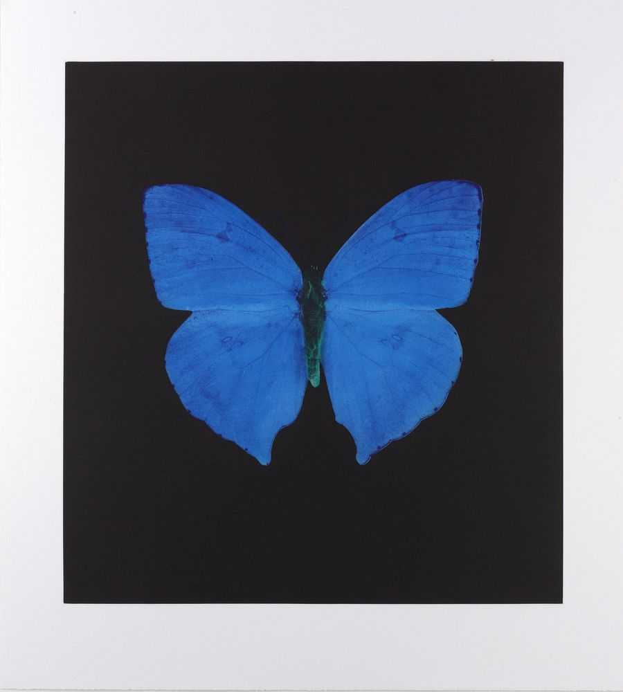 Damien Hirst, ‘Memento V’, 2008, Print, Portfolio of 13 photogravure / colour etchings on Arches paper, null, Numbered