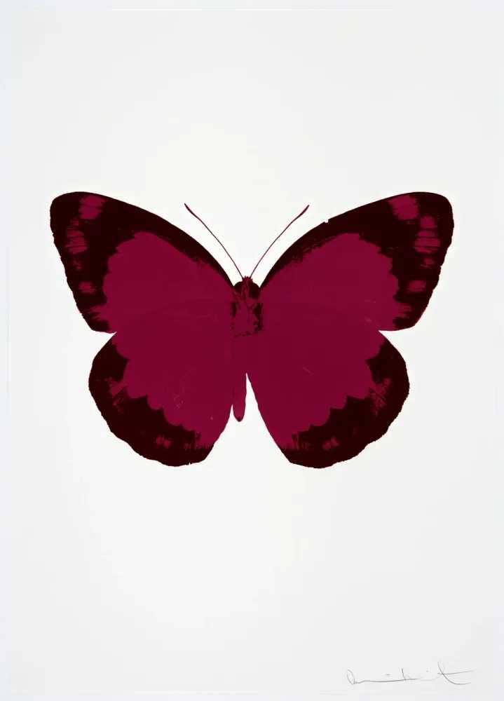 Damien Hirst, ‘The Souls II - Fuchsia Pink - Burgundy - Blind Impression’, 2010, Print, 2 colour foil block on 300gsm Arches 88 archival paper., Paul Stolper and Other Criteria, Numbered