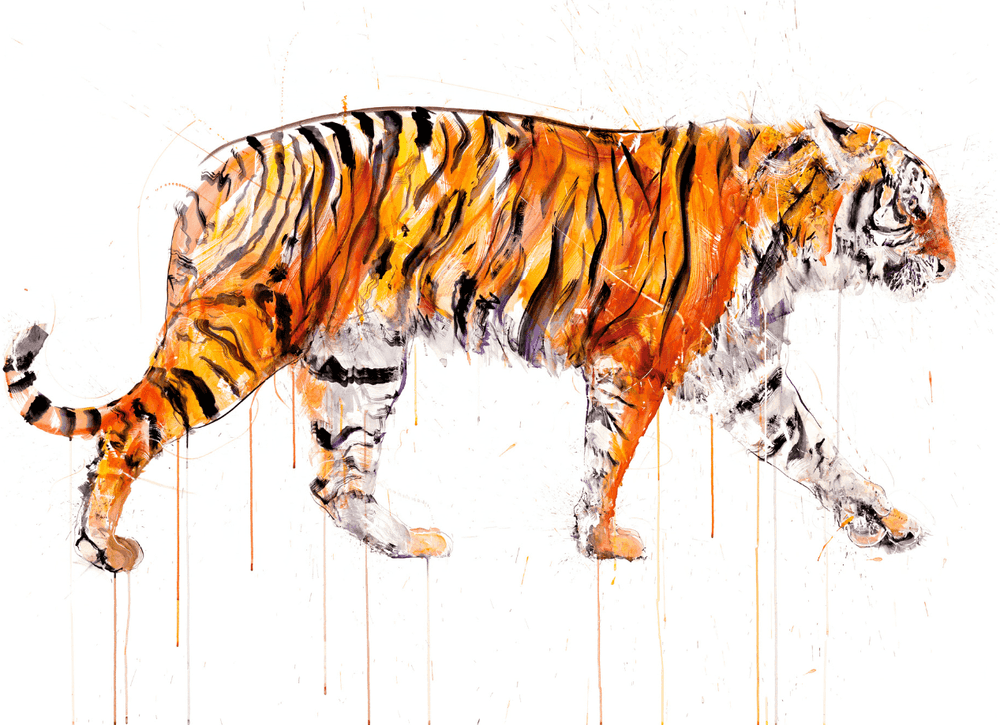 Dave White, ‘Sumatran Tiger’, 2022, Print, Giclée print on paper hand finished with gold leaf, null,