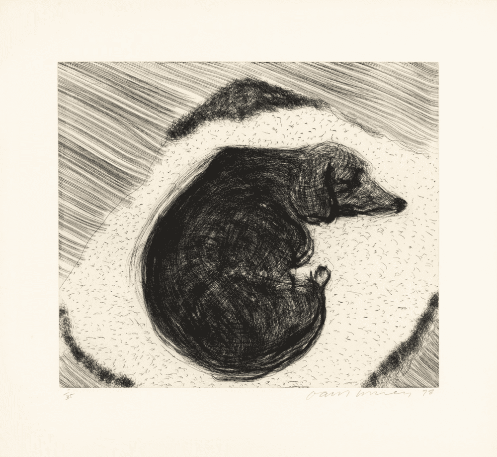 David Hockney, ‘Dog Etching No. 3’, 1998, Print, Etching printed on Somerset paper, null, Numbered