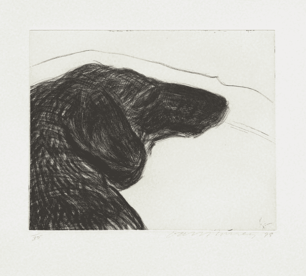 David Hockney, ‘Dog Etching No. 6’, 1994, Print, Etching printed on Somerset paper, null, Numbered